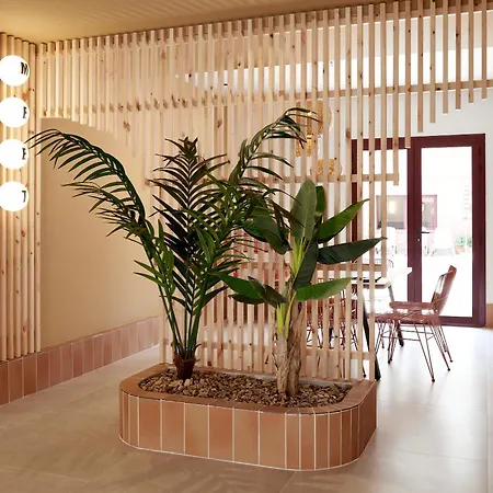 Hotel Don Juan Center 2*